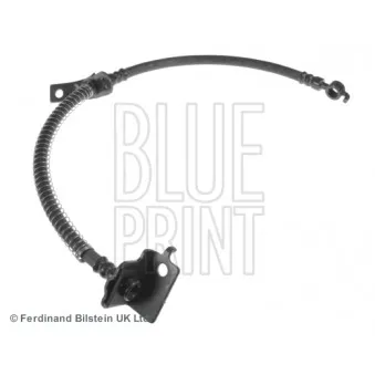 BLUE PRINT ADG053147 - Flexible de frein avant gauche