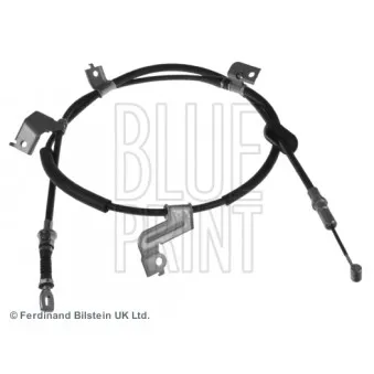 BLUE PRINT ADH246167 - Tirette à câble, frein de stationnement arrière droit