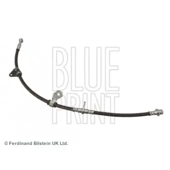 BLUE PRINT ADH25362 - Flexible de frein