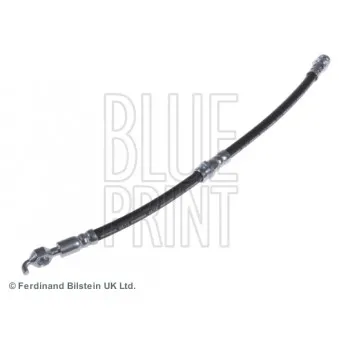 BLUE PRINT ADM55369 - Flexible de frein