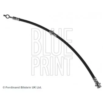 BLUE PRINT ADN153181 - Flexible de frein