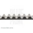 BLUE PRINT ADN17520 - Courroie crantée