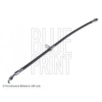 BLUE PRINT ADT353259 - Flexible de frein
