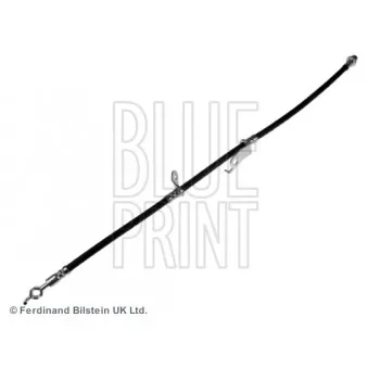 BLUE PRINT ADT353376 - Flexible de frein avant droit