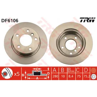 TRW DF6106 - Jeu de 2 disques de frein arrière