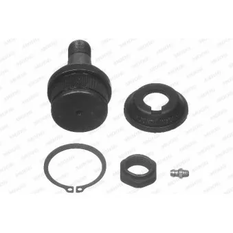 MOOG AMGK8195T - Rotule de suspension