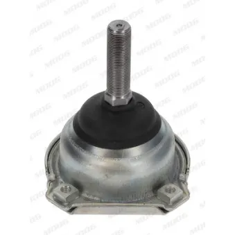 Rotule de suspension MOOG OEM 1233301335