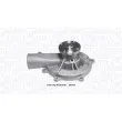 MAGNETI MARELLI 352316170869 - Pompe à eau