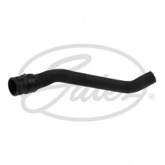 Gaine de chauffage GATES OEM 24423511