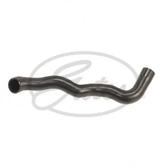 Durite de radiateur GATES OEM A2105013382