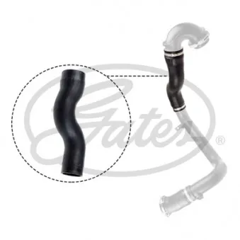 Gaine de suralimentation GATES OEM 1302531
