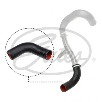 GATES 09-1145 - Gaine de suralimentation