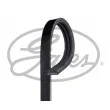 Courroie trapézoïdale à nervures GATES [3PK540]