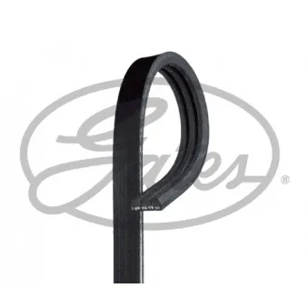 Courroie trapézoïdale à nervures GATES OEM 1172001B02