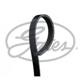 Courroie trapézoïdale à nervures GATES 4PK996SFHD