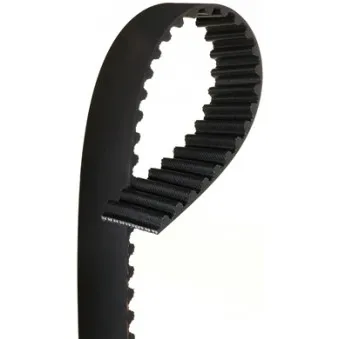 Courroie crantée GATES OEM 3919163