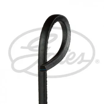 Courroie trapézoïdale GATES OEM 0029972892
