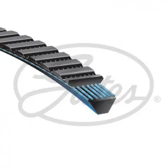 Courroie trapézoïdale GATES OEM 100516