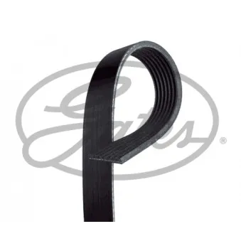 Courroie trapézoïdale à nervures GATES OEM 117201HC1C