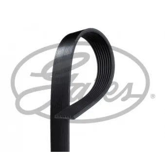 Courroie trapézoïdale à nervures GATES OEM 4937693