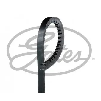 Courroie trapézoïdale GATES OEM 950825