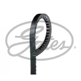 Courroie trapézoïdale GATES OEM A0069979492