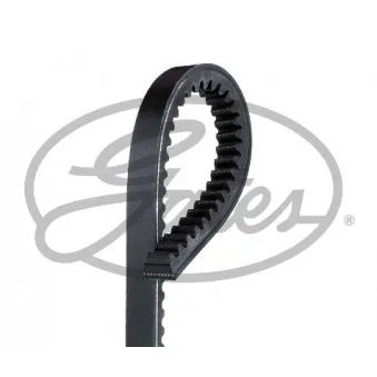 Courroie trapézoïdale GATES OEM 1172028L02 Courroie trapézoïdale GATES OEM 1172028L02