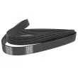 Courroie trapézoïdale à nervures DENCKERMANN [6PK1080]