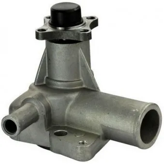 Pompe à eau HEPU P220