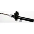 DENCKERMANN DSB107G - Amortisseur avant droit