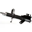 DENCKERMANN DSB206G - Amortisseur avant droit