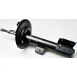 DENCKERMANN DSB274G - Amortisseur avant droit