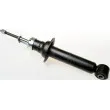 Jeu de 2 amortisseurs arrière DENCKERMANN [DSC018G]