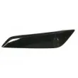 BLIC 5703-08-0068371P - Baguette et bande protectrice, aile avant gauche 