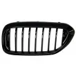 BLIC 6502-07-0068991P - Grille de radiateur avant gauche 