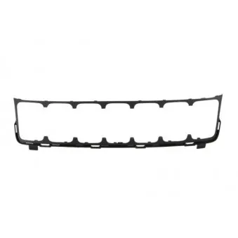 Grille de radiateur BLIC 6502-07-3207912P