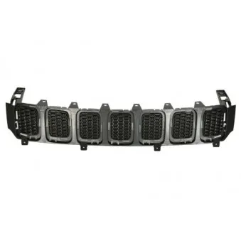 Grille de radiateur BLIC 6502-07-3217990P