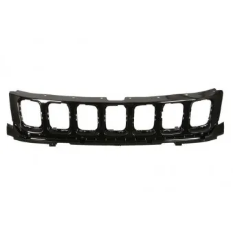 Grille de radiateur BLIC 6502-07-3217993P