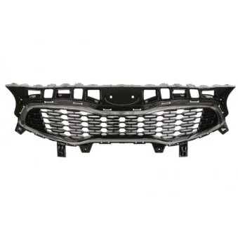 BLIC 6502-07-3268991P - Grille de radiateur