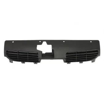 Grille de radiateur BLIC 6502-07-5507991P