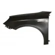 Aile avant gauche BLIC [6504-04-0105311P]