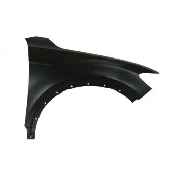 Aile avant droit BLIC 6504-04-0395312P