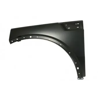 Aile avant gauche BLIC 6504-04-0933311P