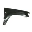 BLIC 6504-04-3205314P - Aile avant droit 