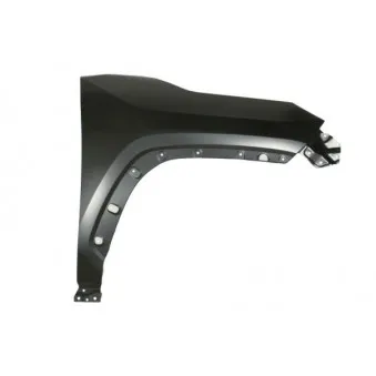 BLIC 6504-04-8186312P - Aile avant droit 