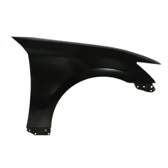 Aile avant droit BLIC OEM 5380130A20