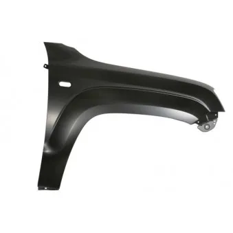 Aile avant droit BLIC 6504-04-9595314P