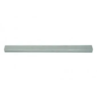 Marche-pied BLIC 6505-06-6043010P