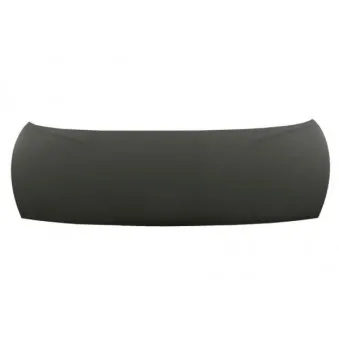 Capot-moteur BLIC 6803-00-3279280P