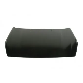 Capot-moteur BLIC 6803-00-9022281P